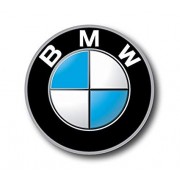 Panewki BMW